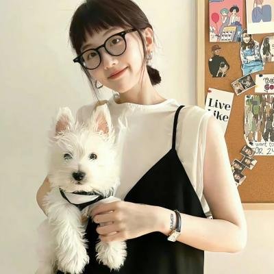 探险活宝第二季